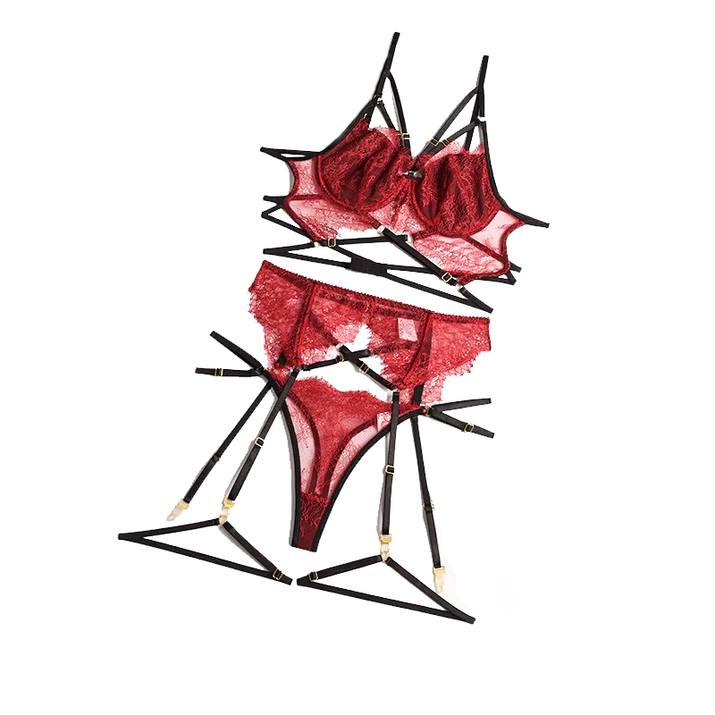 Nowa koronkowa seksowna bieliz – Sheer Bra Lace recenzja i cena